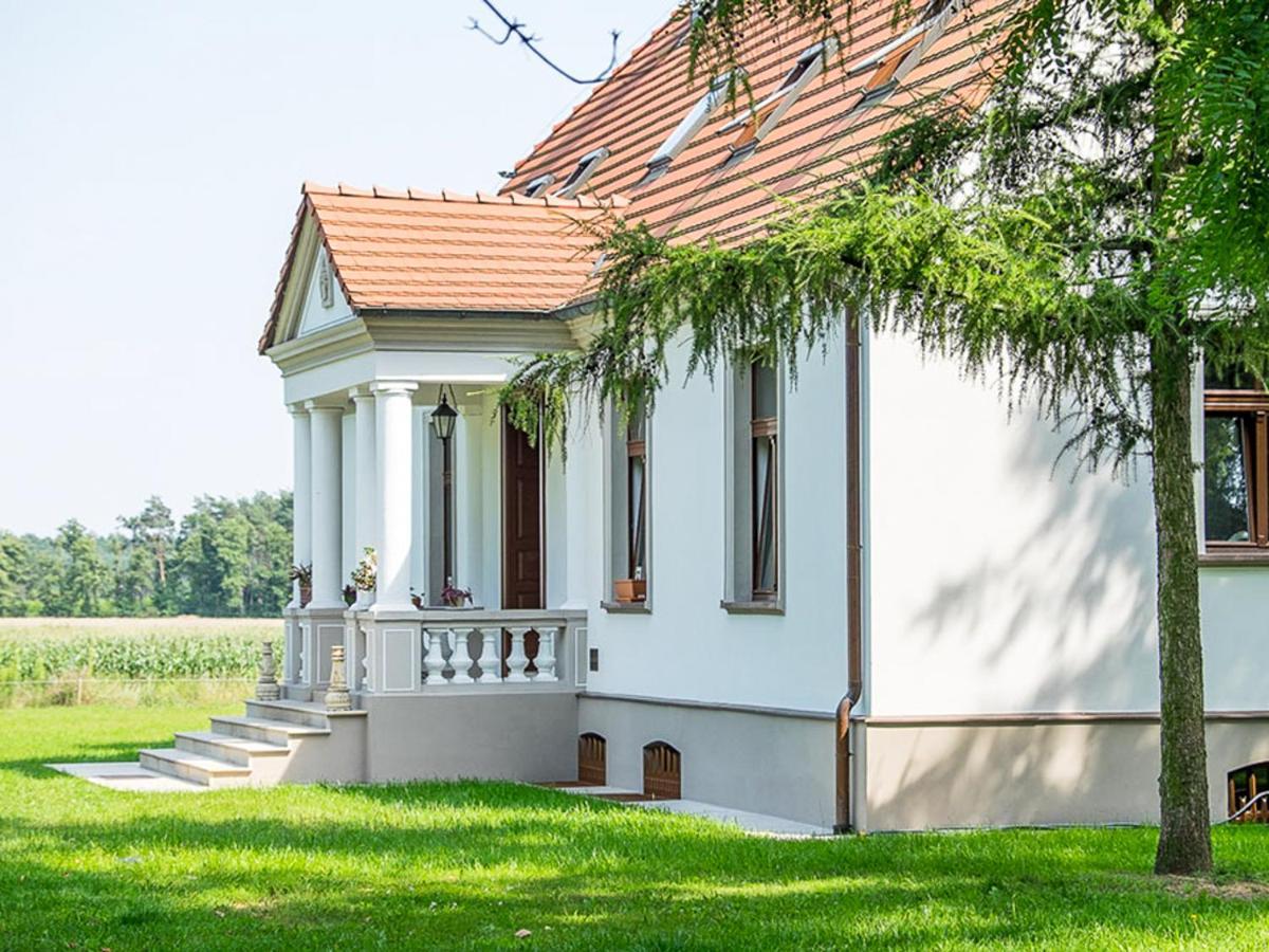 Bed and Breakfast Dwór Gogolewo nad Wartą Ksiaz Wielkopolski Exterior foto